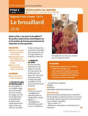 Regarde le brin d'herbe 12/12. Le brouillard (3)