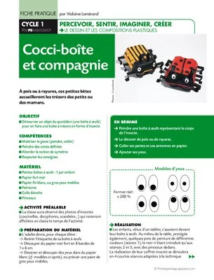 Cocci-boîte et compagnie