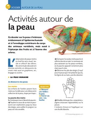 Activités autour de la peau