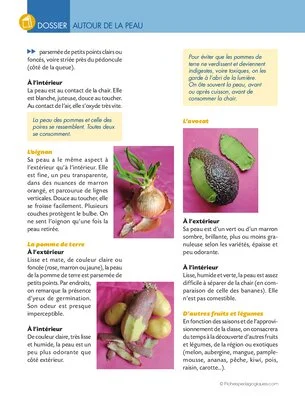 Activités autour de la peau