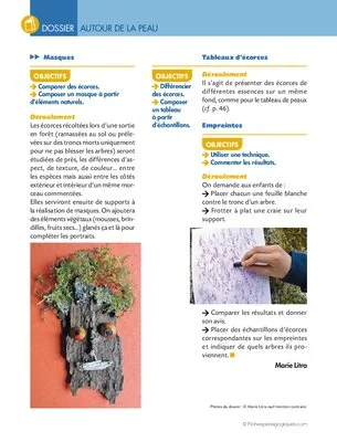 Activités autour de la peau