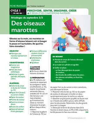 Des oiseaux marottes