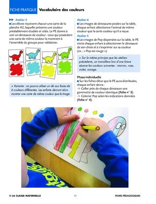 Pop mange de toutes les couleurs
