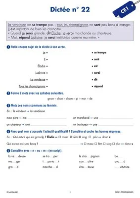 Une année de dictées CE1 avril