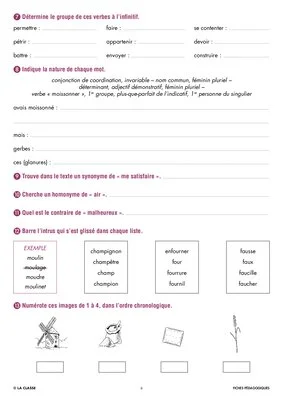 Une année de dictées CM2 avril