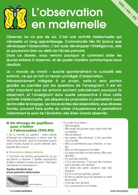 L'observation en maternelle