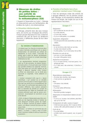 L'observation en maternelle