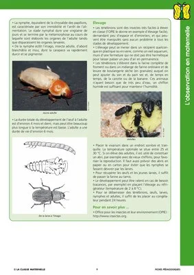 L'observation en maternelle