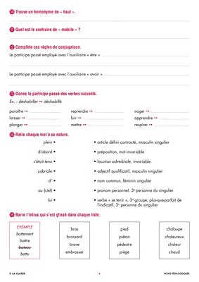 Une année de dictées CM1 mai