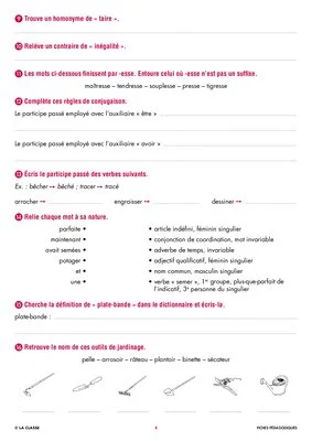 Une année de dictées CM1 mai