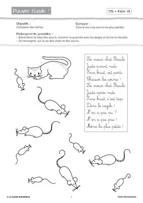 Attention visuelle MS mai juin