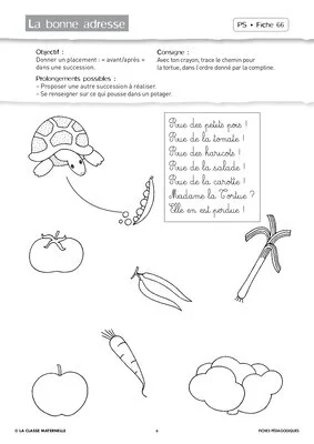 Attention visuelle PS mai juin