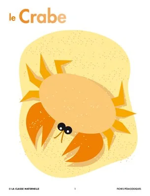 Le crabe