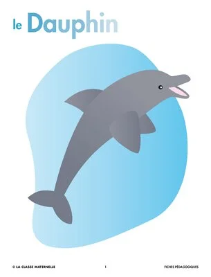 Le dauphin