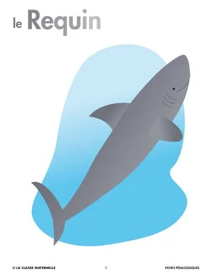 Le requin