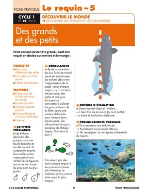 Le requin