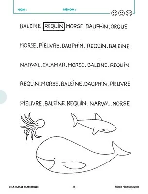 Le requin