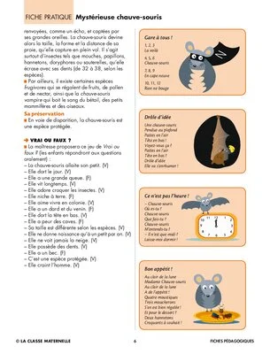 La chauve-souris