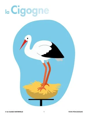 La cigogne