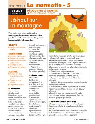 La marmotte