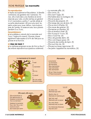 La marmotte