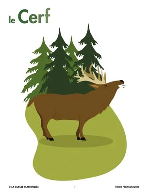 Le cerf