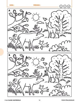 Le cerf