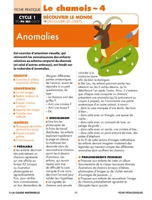 Le chamois