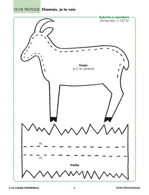 Le chamois
