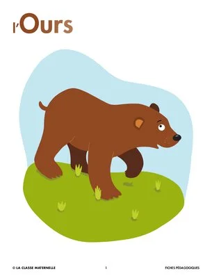 L'ours