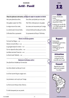 Français CM1 Grammaire ~ Cahiers malins