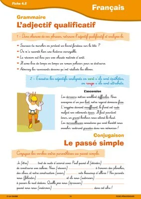 Passerelle CM1 CM2 français