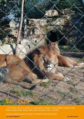 Les animaux du zoo