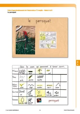 Les animaux du zoo
