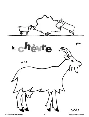 La chèvre