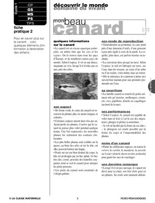 Le canard