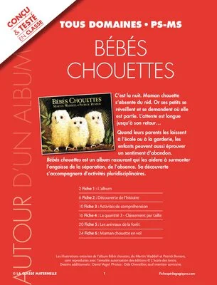 Bébés chouettes