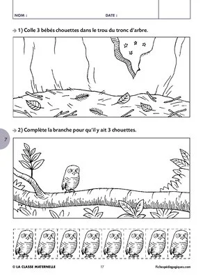 Bébés chouettes