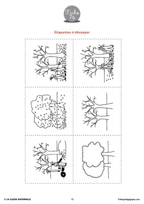 Progression maths et langage (1)