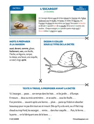 25 dictées animalières