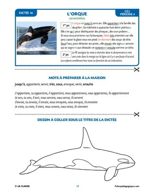 25 dictées animalières