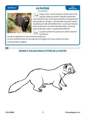 25 dictées animalières