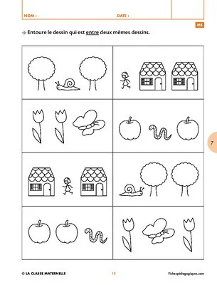 Activités perceptives (1) : topologie