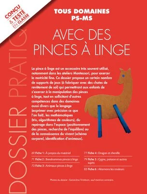 Activités avec des pinces à linges