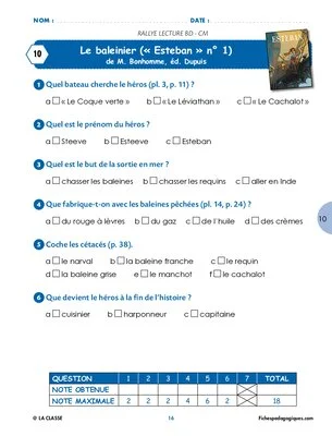 Rallye lecture BD CM1-CM2