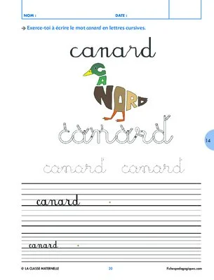 Dans la mare, il y a... Canard
