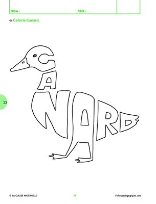 Dans la mare, il y a... Canard