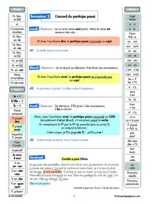 Progression orthographe - Juin