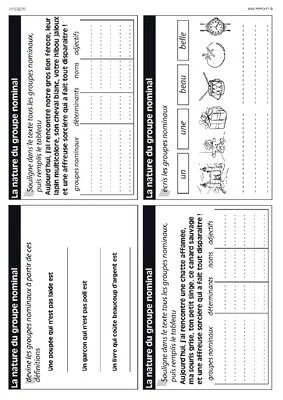 Le groupe nominal en CE1-CE2