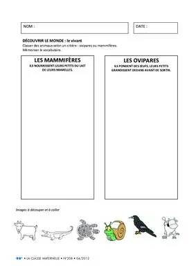 Activités autour de l'oeuf